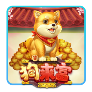 T8娛樂城,T8娛樂,T8,娛樂城,T8娛樂城推薦,狗來富